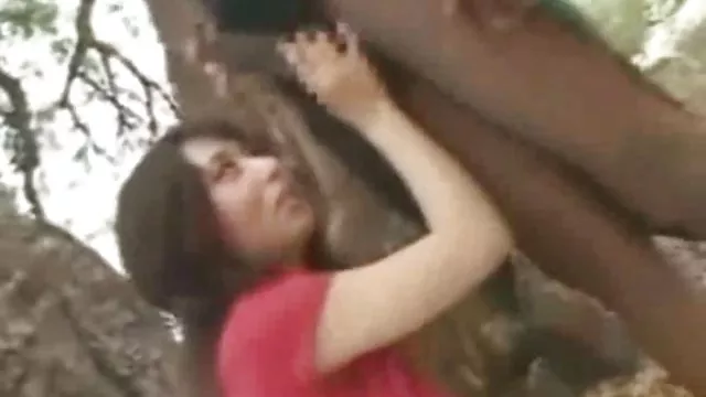 XXX hiçbir kayıt Ofis çalışanı çaldı arkadaşları külot bedava seks filim indir kullanılan