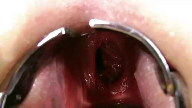 XXX hiçbir kayıt Çıplaklar Plajı bedava seks fılım amatör