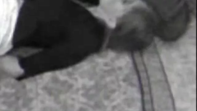 XXX hiçbir kayıt İlk sex filmi bedava büyük horoz amatör para LAN n cum